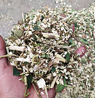 大型碎木機(jī)效果4