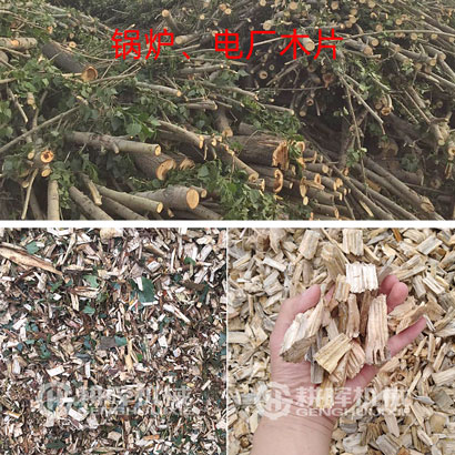 鍋爐電廠木片木渣機