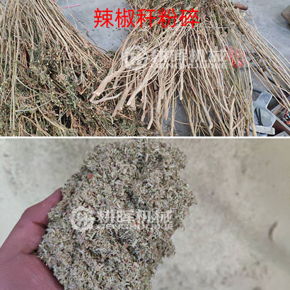 辣椒稈粉碎機辣椒桿粉碎機