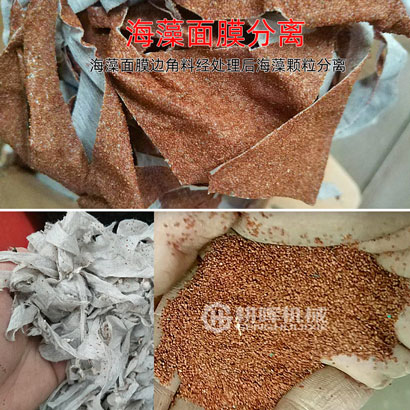 海藻面膜粉碎機海藻面膜分離海藻顆粒
