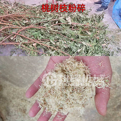桃樹枝粉碎機新鮮桃樹枝細碎機