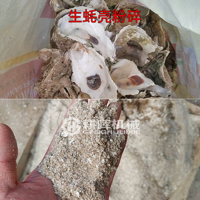 生蠔殼粉碎機牡蠣殼粉碎機蝦蟹蚌殼粉碎機